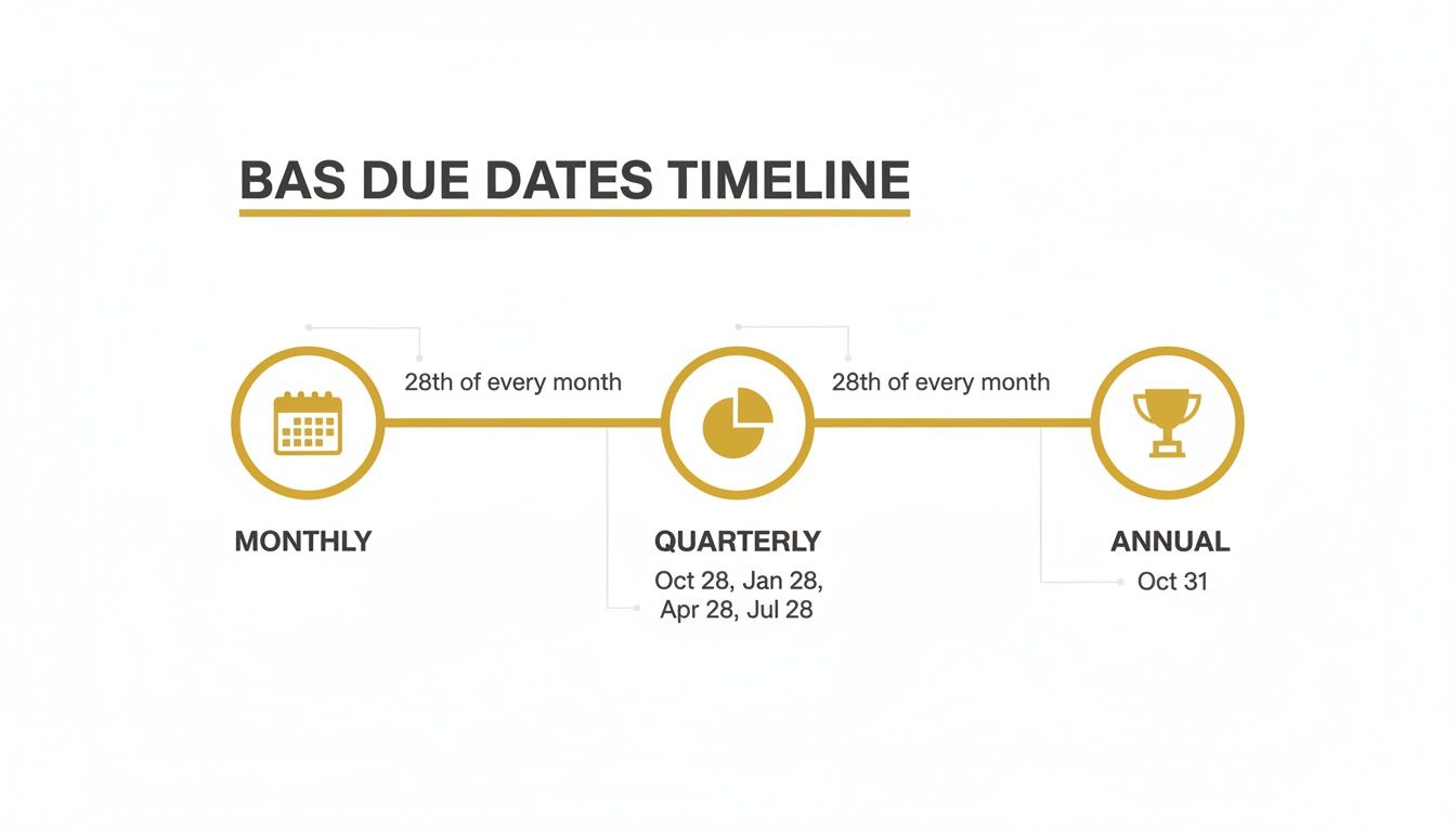 bas-due-dates-2025-timeline.jpg