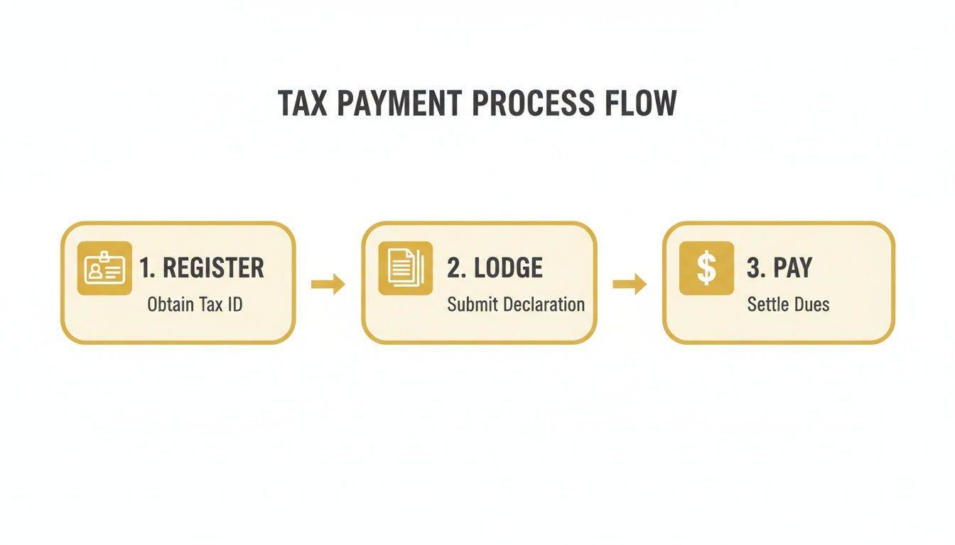 how-do-i-pay-taxes-tax-process