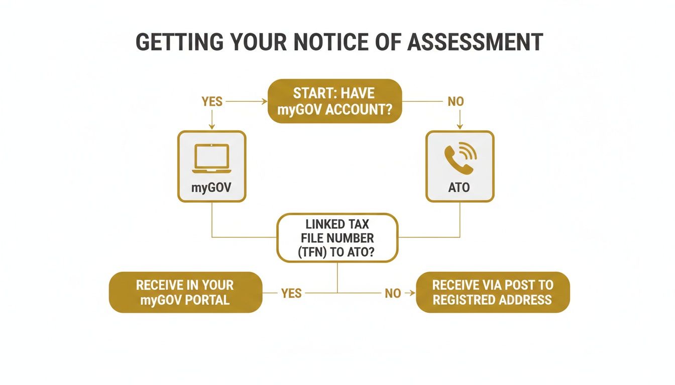 how-to-get-notice-of-assessment-flowchart.jpg