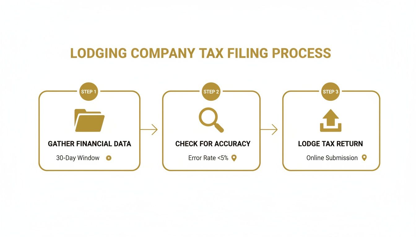 how-to-lodge-company-tax-return-tax-filing.jpg