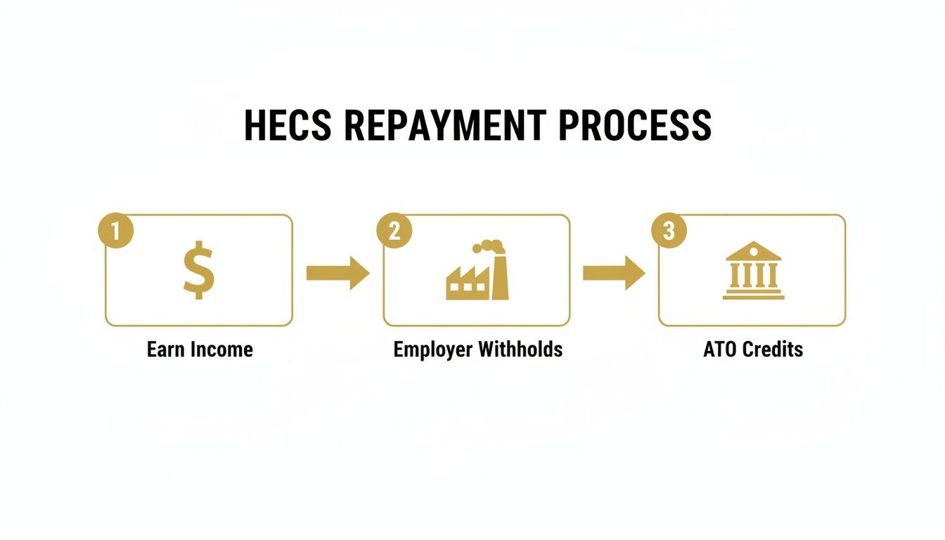 how-to-pay-hecs-debt-repayment-process.jpg