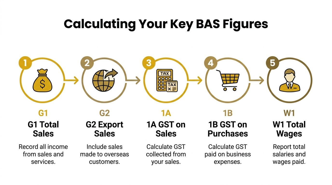 how-to-prepare-bas-statement-bas-figures