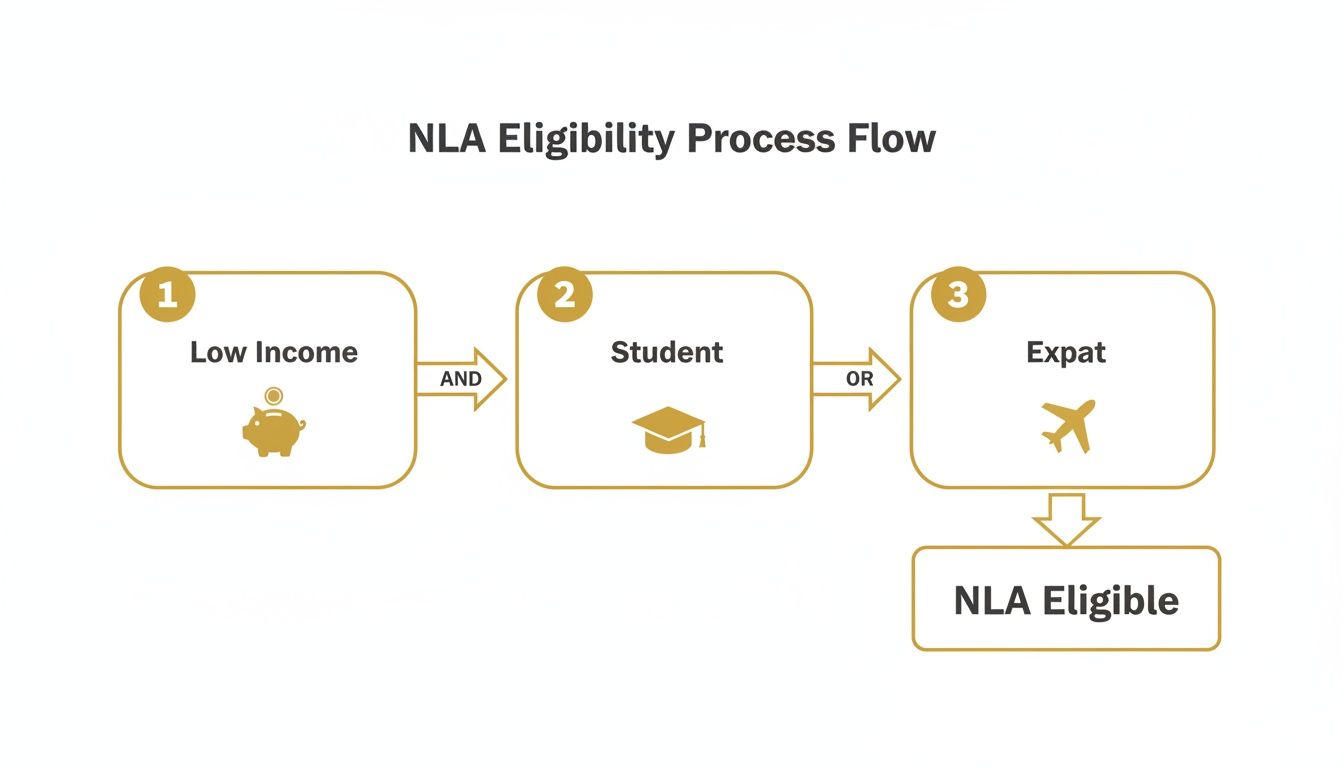 non-lodgement-advice-process-flow.jpg
