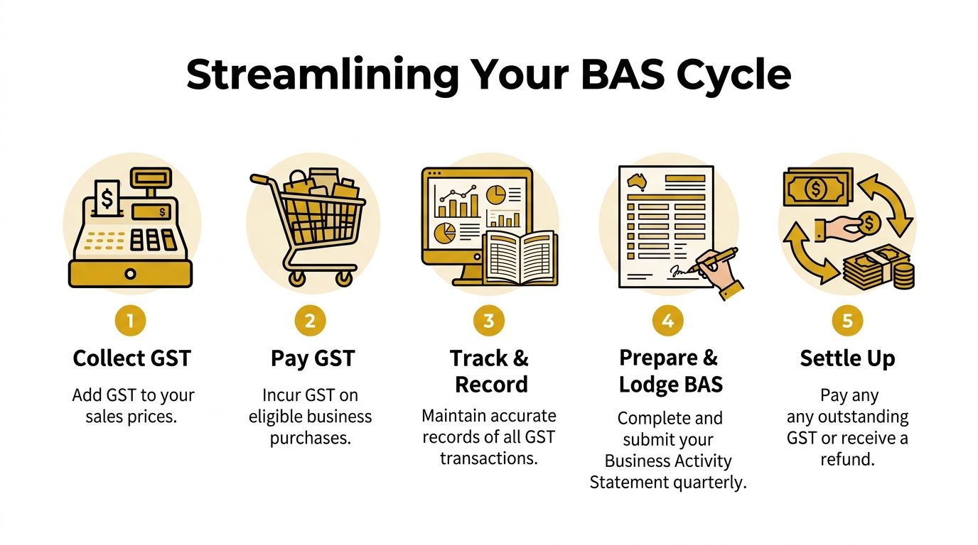 small-business-tax-accounting-bas-cycle