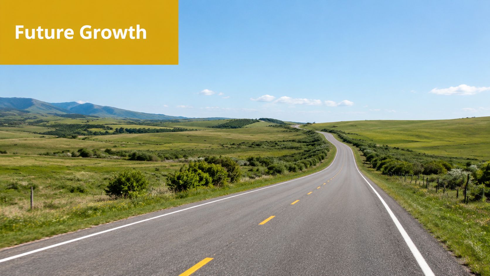sole-trader-vs-company-whats-right-for-you-scenic-road