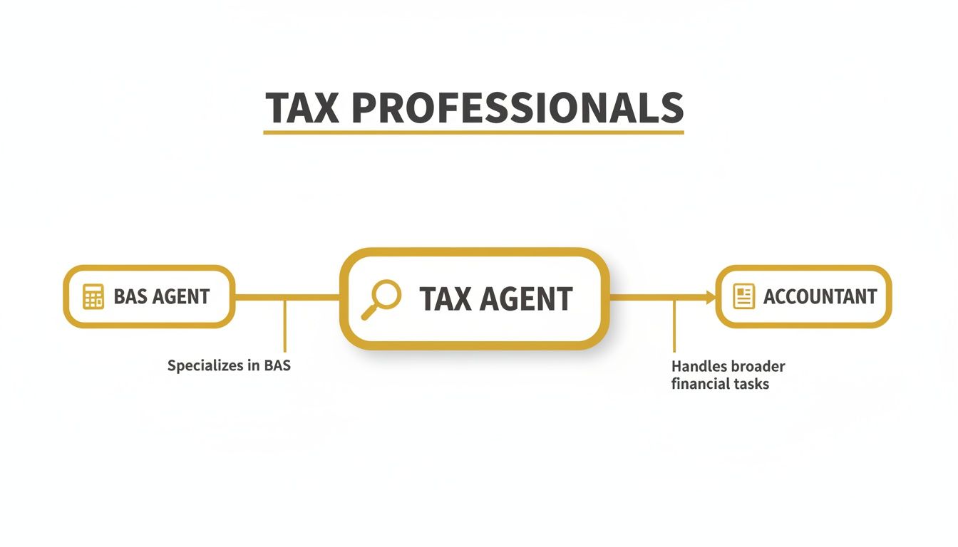 what-is-a-tax-agent-tax-professionals.jpg