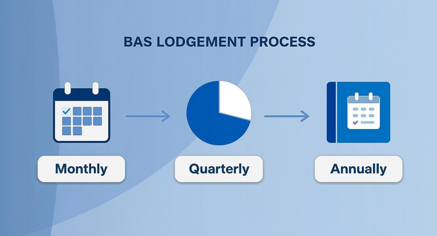 what-is-bas-in-accounting-lodgement-process.jpg