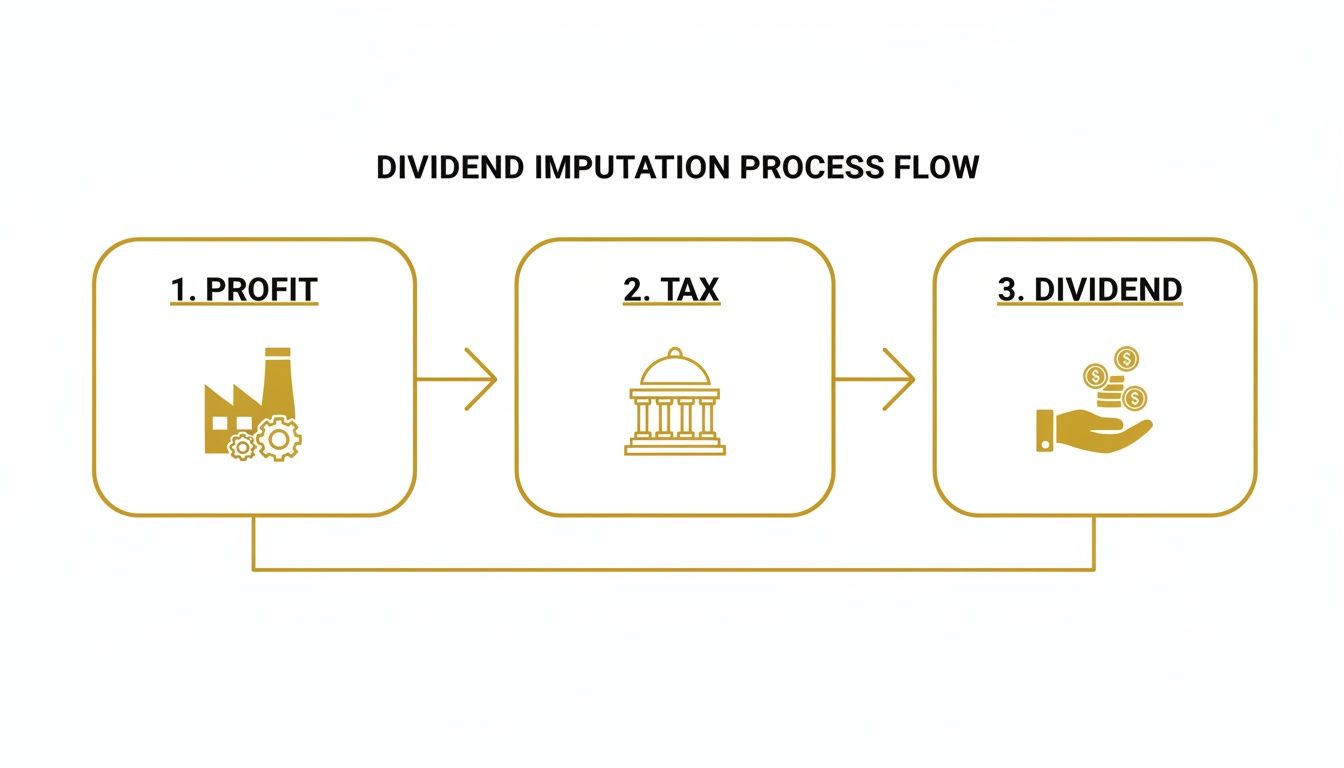 what-is-franked-dividend-dividend-process.jpg